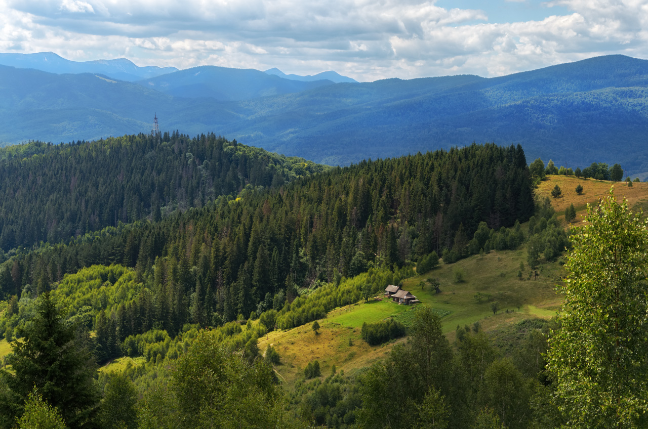 000081_owgps_9.jpg
